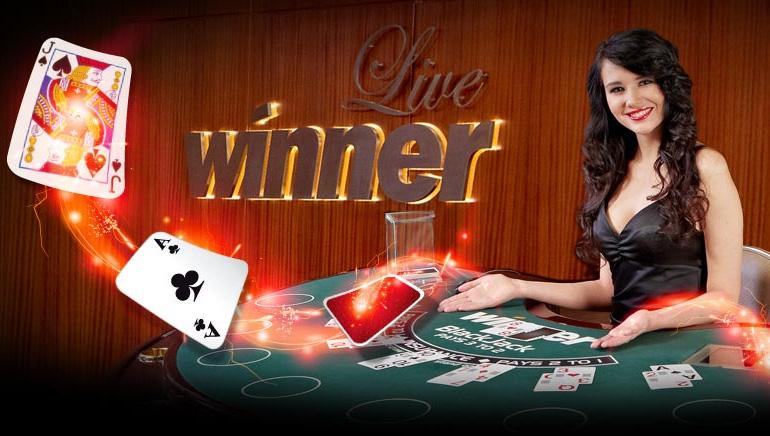 Winner casino